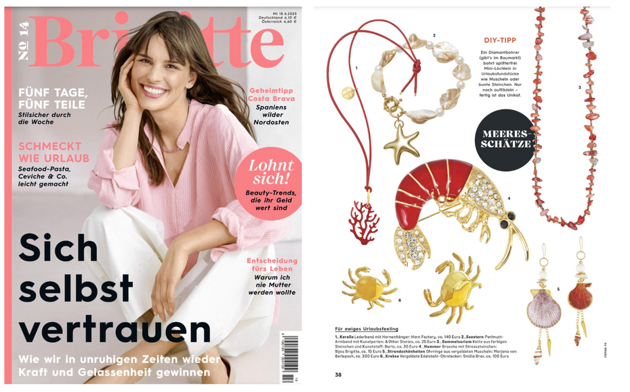 BRIGITTE MAGAZIN 14/25