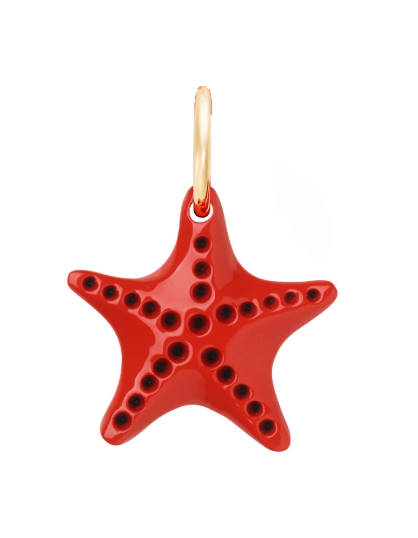 STARFISH CHARM